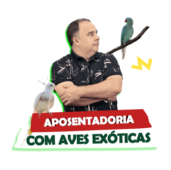 aposentadoria com aves exóticas